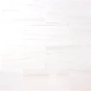 Bianco Dolomite Marble 6x12 Polished/Honed Subway Tile Sample