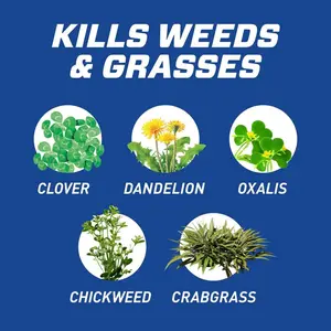 GroundClear Weed and Grass B-gon Patio and Landscape Weed and Grass Killer Refill 1 gal. Spray Weed Killer Refill