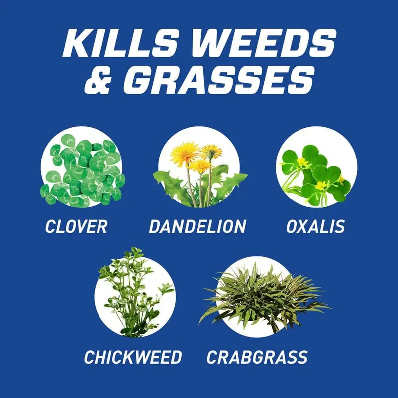 velocity herbicide - TikTok Shop