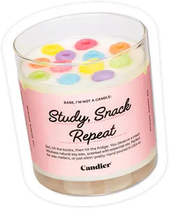 STUDY SNACK REPEAT FLAMELESS WAX MELT STUDY SNACK REPEAT FLAMELESS WAX MELT