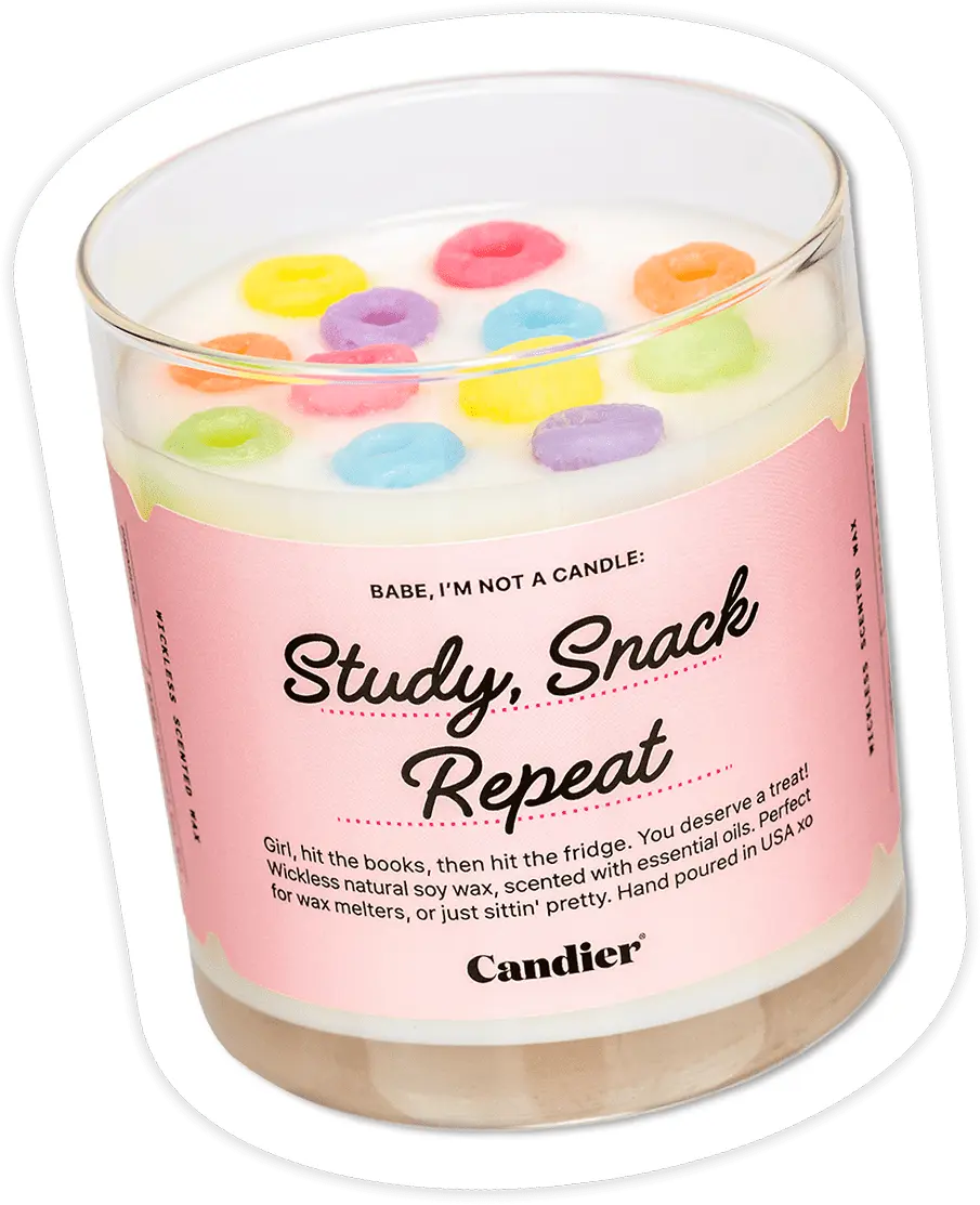 STUDY SNACK REPEAT FLAMELESS WAX MELT