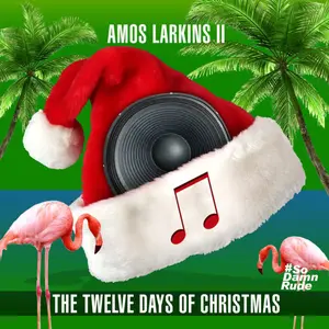 Amos Larkins II - The Twelve Days Of Christmas  [COMPACT DISC - CD]