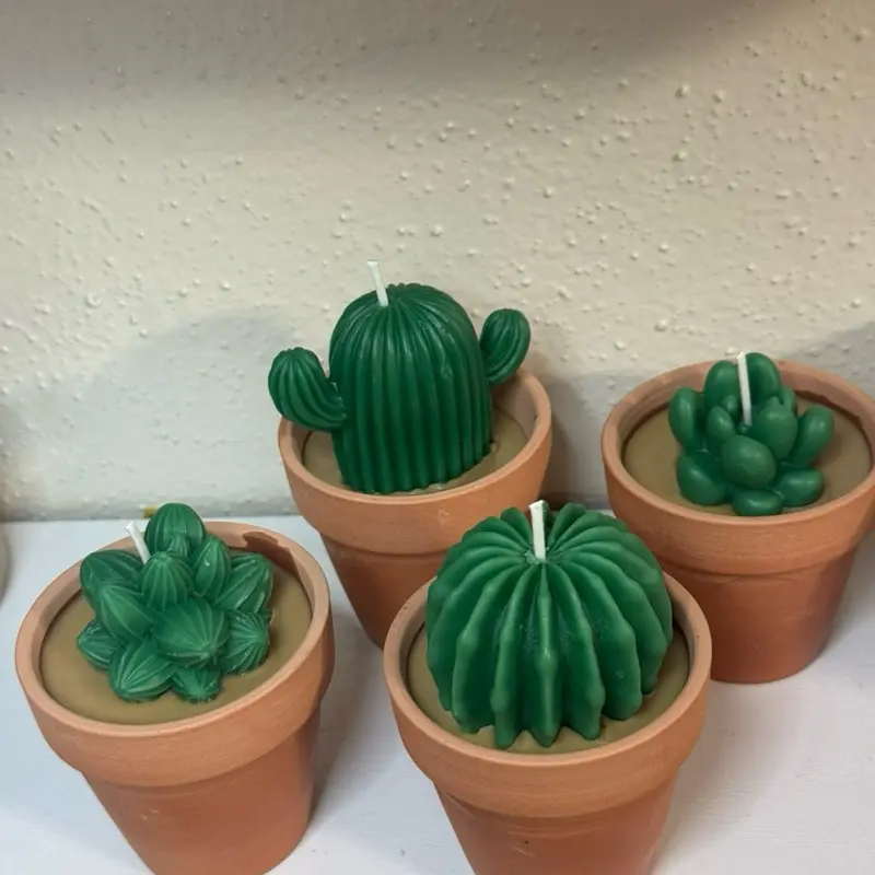 Plant candle