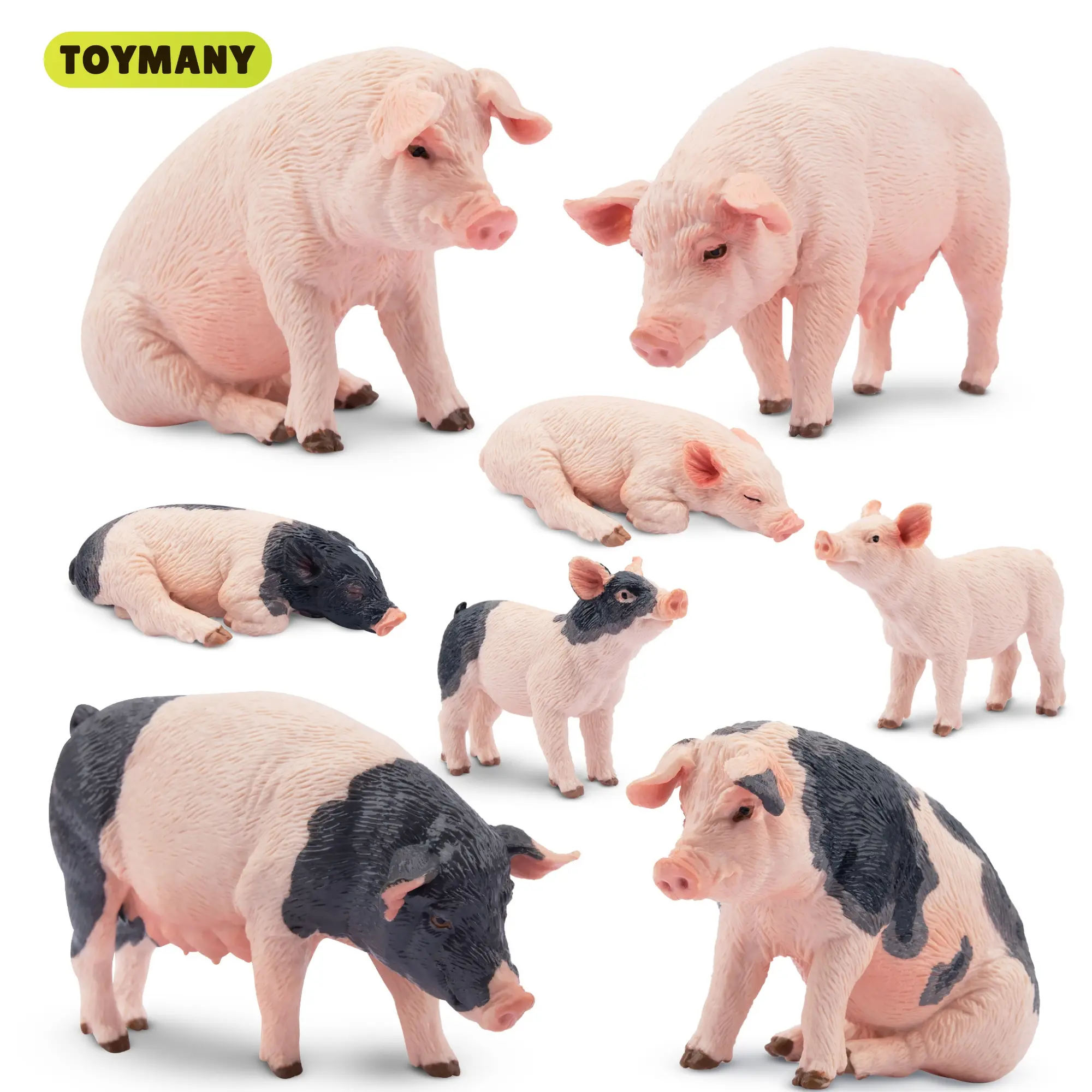 TOYMANY 8-Piece Realistic PVC Simulated Animal Model Set, Set Figures, Character Miniature Animals, Unisex Gift Ideas for Kids Age 3+ (Birthday, Christmas)