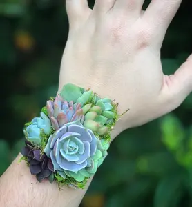 Succulent Wrist Corsage