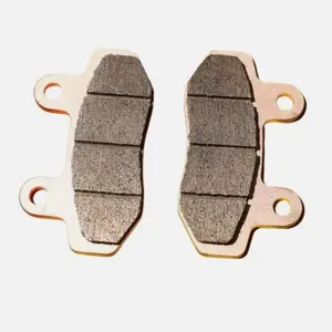 SURRON New Brake Pads, OEM Brake Pads for Surron Ultra Bee Cycling Leisure & Outdoor Recreation Equipment, New Brake Pad