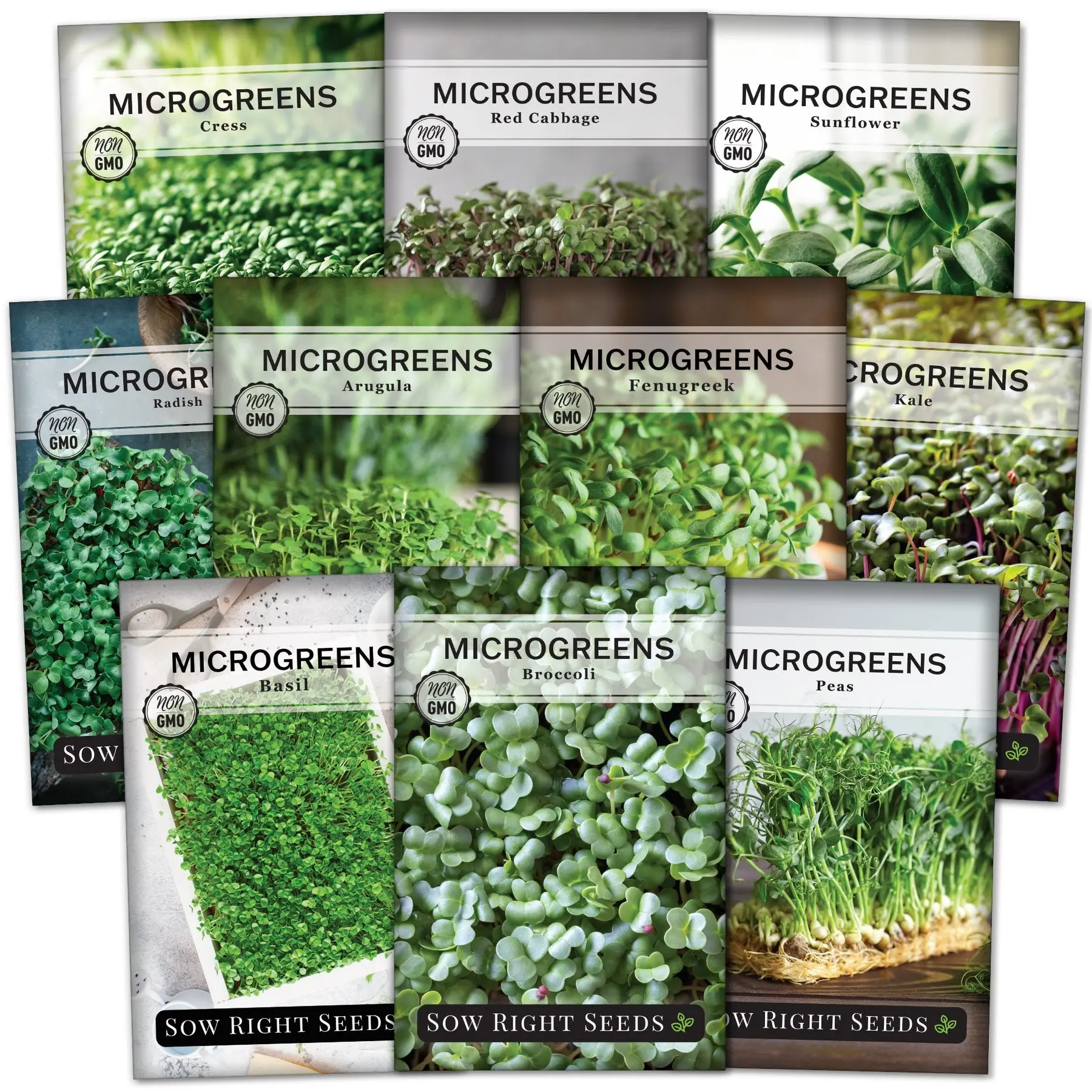 Large Microgreens Seeds Collection - Sprouting Seeds for DIY Gardening, Including Basil, Black Oil Sunflower Varieties and Vegetable Planting Options, Sunflower Seeds