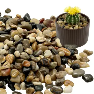 3/8 Inch Mixed Color Pebbles, Polished Decorative Gravel Colorful River Rock for Plants - for Succulent, Cactus, Fish Tank, Vase, Bird Bath, Garden Landscaping and Top Dressing-3LB