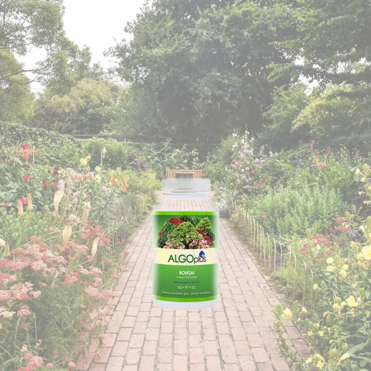 212 MAIN AlgoPlus 506 Concentrated Bonsai Liquid Fertilizer - 250ml Bottle,  with Essential Nutrients for Container Gardens - TikTok Shop