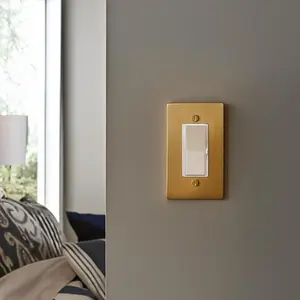 Select 60 Watts LED Decora Dimmer with Built-in 120V Input 24V DC Output Driver Class 2