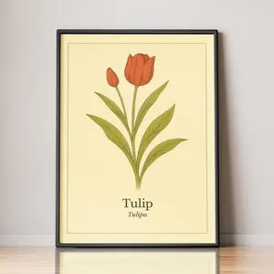 Tulip Botanical Poster, Vintage Botanical Print, Tulipa Flower Illustration | Unframed L