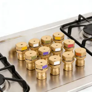 Gas Stove Propane Conversion Kit Brass Orifices 12PCS For DIY Appliance Upgrade Gift