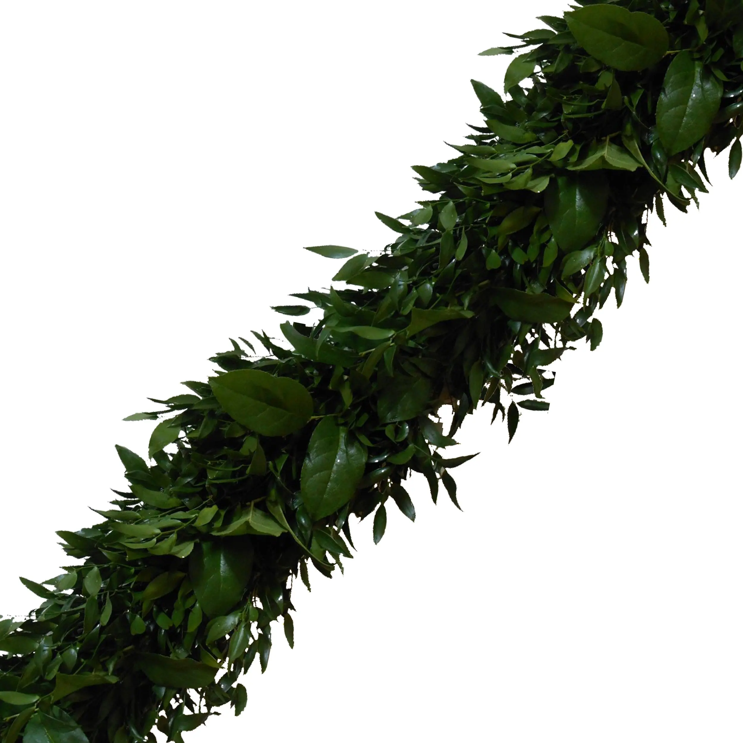 Fresh Handmade Garland - Italian Ruscus & Salal