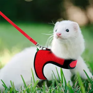 Mesh Breathable Rabbit Harness and Leash Set for Small Pets