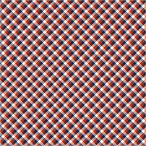 Fabric Windham Red Picnic Gingham Front Porch by the Quarter Yard 54863-9