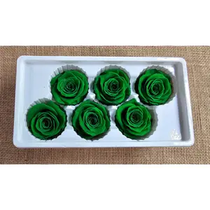 6 Rose Large in Green color, floral arrangements, Green Wedding roses, Preserved roses, preserved flowers, Wedding decor