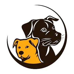 background preload poster image 