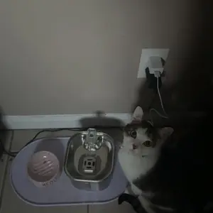 Cat Water Fountain, Stainless Steel Pet Water Fountain for Cats Inside, 3 Filters&Ultra-Quiet Pump, 2.2L/73oz Automatic Dog Dispenser Water Bowl, Multiple Pets Water Fountain Square