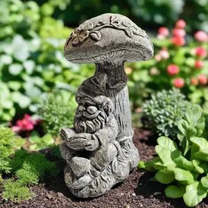 Scholarly Reading Gnome Statue (13" x 9")