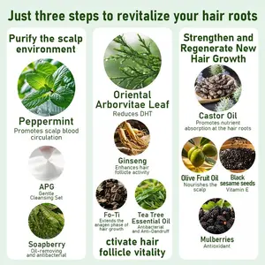 Facefly Anti Hair Loss Shampoo Bar – Sophora Flavescens Root Extract , Ginseng &  Soapberry, Strengthens Roots, Reduces Hair Fall, for Thinning Hair, Sulfate-Free, Herbal Hair Growth Soap 180g Haircare Cleansing Conditioner Biotin Hair Conditioner Bar