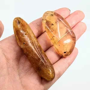 Amber Copal 2 - 2.9" Polished w/ Insect Inclusions #LV1869