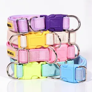 The Astor Heavy-Duty Collar