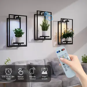 Frame Wall Plant Stand Indoor 2 Pack, Metal Wall Planters Holders with Remote Grow Light, Picture Frame Plant Shelves Wall Decor for Bedroom Bathroom Living Room Home Office