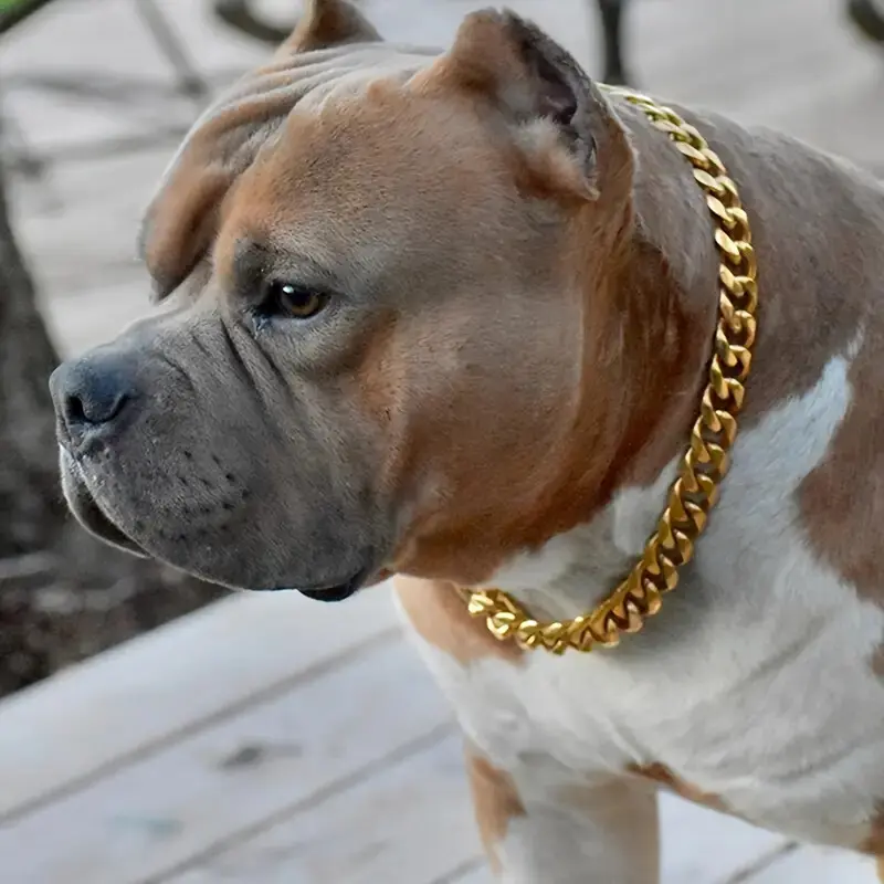 Pet Dog & Cat Collar - 10mm Thick Chain, Gold Plated Over Alloy Miami Cuban Chain, Elegant Luxury Look, Perfect Accessory Decorative Basic Collars, Gold/Silver, 16"-24" Sizes, All Seasons High Quality