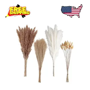 100 PCS 17" Naturally Dried Small Boho Pampas Grass (Brown and White)