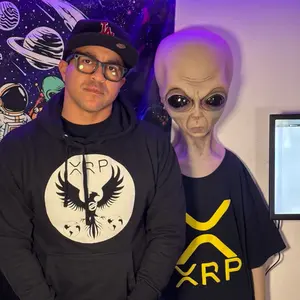 XRP XLM Phoenix Hoodie - Versatile Men's Sweatshirt with Hood, Comfortable Fit, and Stylish Design - Menswear, Sweatshirts Tops