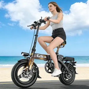 E Bike GS3 740W Motor 48V15AH Battery 29 Miles Range Foldable Power-Assist Commuter Electric Bicycle