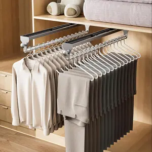 2 Pack Pull Out Closet Rod, 13.7inch Heavy Duty Pants Rack, Adjustable Clothes Hanger Rail, Space  Valet Rod, Top Mounted Wardrobe Clothes Organizer, Closet Storage for Trousers Coats Gray