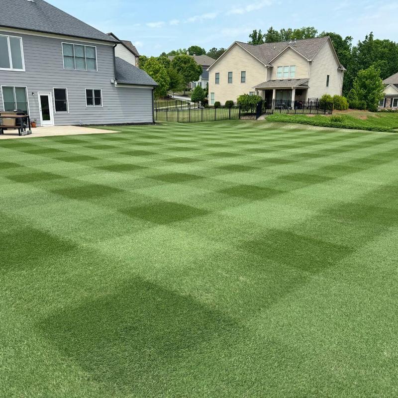 Organic Lawn Fertilizer and Biostimulant - 4-4-4