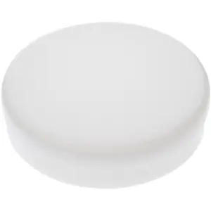 Pioneer Plastics White Small Round Plastic Container