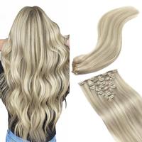 P17A/60A Ash Blonde Highlighted Platinum Blonde