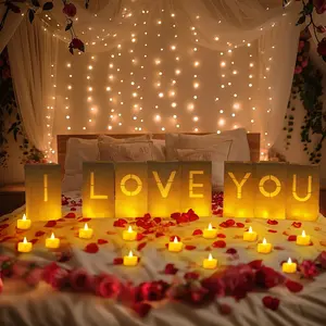 I Love You Light Up Letters Proposal Decorations with Flameless Candles and Fake Rose Petals, Valentine's Day Luminary Bags Romantic Decorations Special Night for Wedding Anniversary outdoorfun