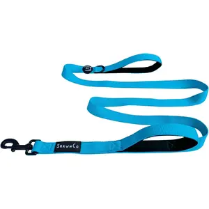 Dream Walk Dog Leash- Premium, Nylon Pet Leash with Soft Neoprene Handle for Small, Medium and Large Dogs (Oceanic Blue, M/L 6FT w/ 2 Handles)
