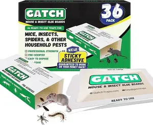 Sticky Glue Boards  – Adhesive Traps for Cockroaches, Ants & Crawling Insects | Indoor Use - 36pk/72pk