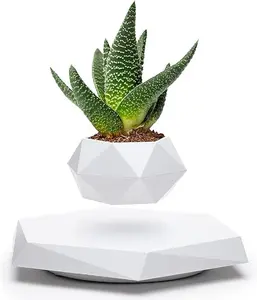 BandD Floating Plant Pot - Levitating Plant Pot for Succulents, air Bonsai & air Plants. Floating Planter for Home, Office & Desk Levitating Decor. Magnetic Floating Levitating Display. (White)