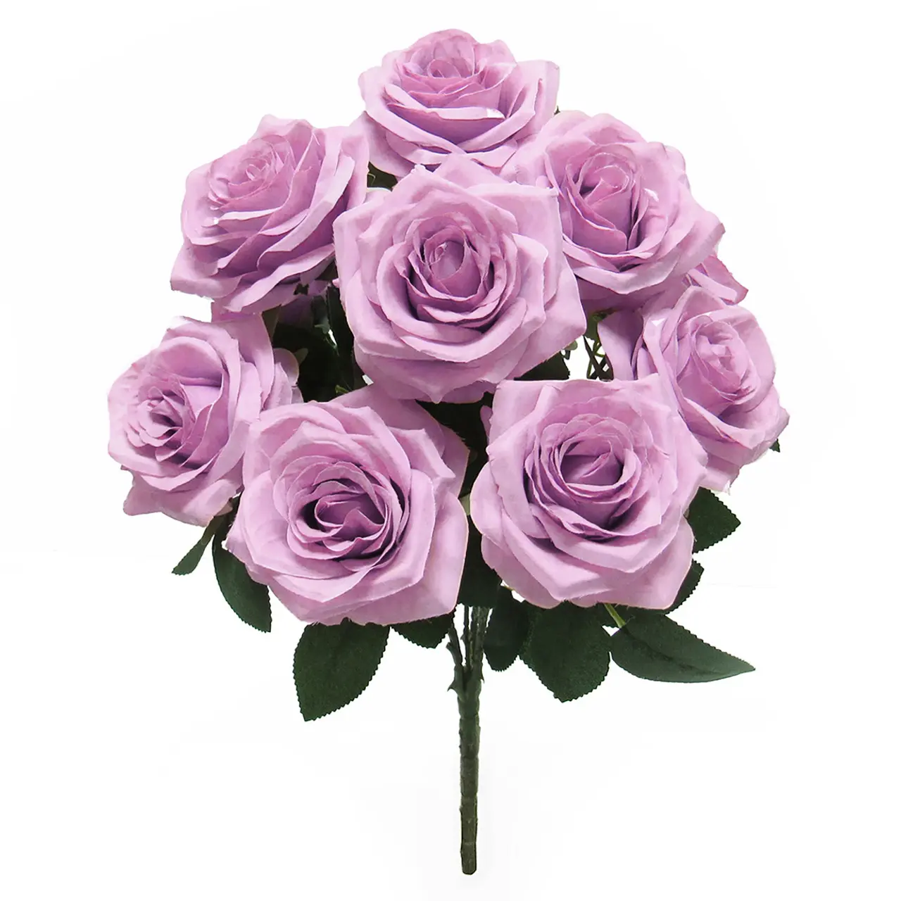 Lilac Purple Rose Bush