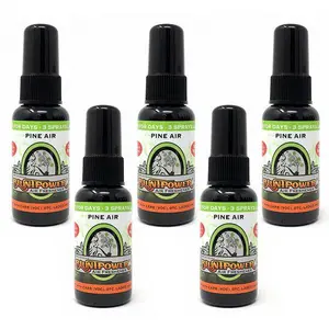 Pine Air Freshener Bundle (5 Pack)