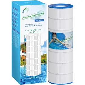 Pool Filter Replaces Pentair Clean and Clear 200, CC200, PAP200-4, PAP200, C-9419, FC-0688, Ultral-C5, PP-C5, R173217, 59054400, Aladdin 29902, Baleen -8005, 1 Pack