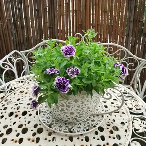 Cast Iron Coffee Cup Planter, Flower Pots, American Country Style, Lightweight Irregular Design, New Balcony Garden Trend, Decorative, No Ca Prop 65 Warning