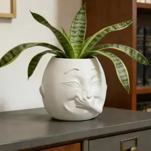 Fun 3D Printed Flower Pot, Boy Nose Shape, Expressive Face Plant Pot, Indoor Outdoor Planter, Durable Plastic, Indoor Outdoor Use, Ideal for Gardening Enthusiasts