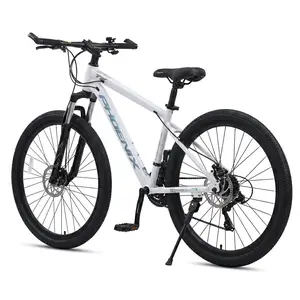 Folding bicycle, durable steel frame, compact design, easy to store and commute