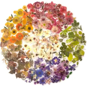270 Pieces Flower Stickers Set - Waterproof Dried Floral Botanical Journaling Stickers for Scrapbook, Junk Journal, Bullet Journal, Planner & Crafts (1.42 inch/3.6 cm)