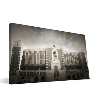 212 MAIN Paulson Designs Texas Tech Jones AT&T Stadium View Photo Poster Print, 16x36 in. Artistic Home Wall Decoration for Living Spaces