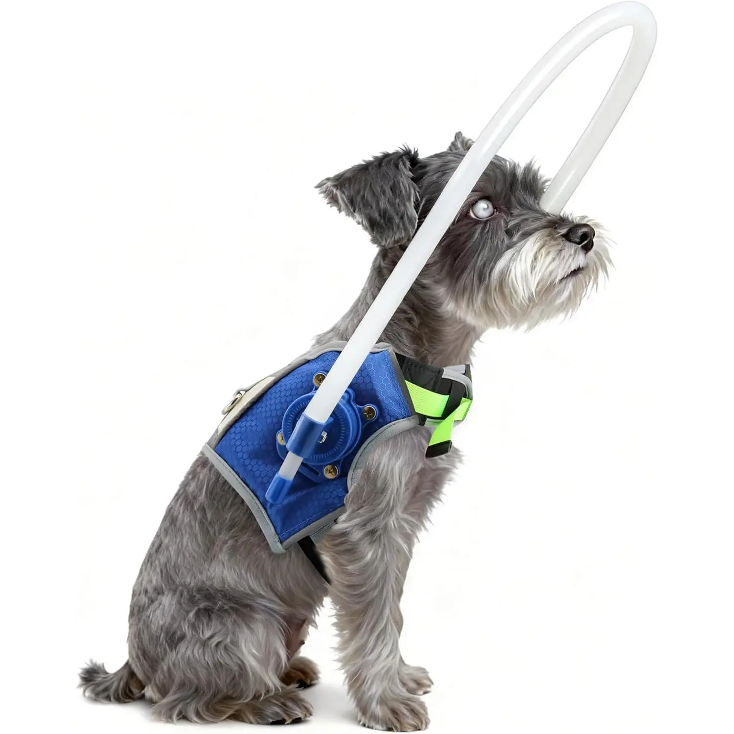 Blind Dog Halo Harness with Fluorescent Glow Effect, Adjustable Protective Safety Ring with Reflective Straps,Navigation Aid for Visually Impaired Pets (M for 20-24In)