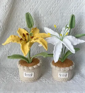 Handmade Crochet Lily Flower Pot - Pink, Purple, Orange - Cute Gift for Her, Girlfriend, Friend, Colleague, Crochet Flower Bouquet