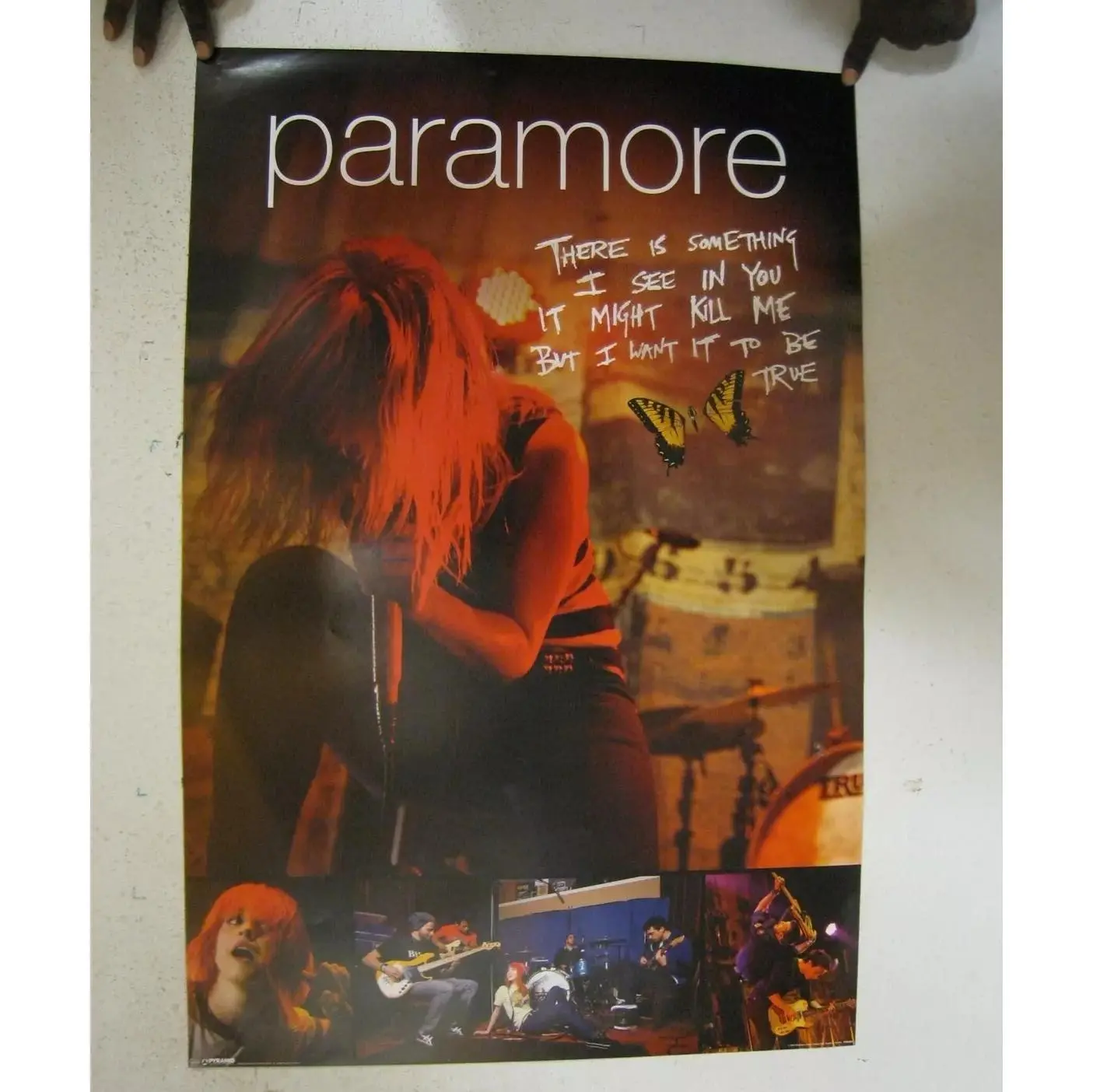 Graphic Paramore Live Butterfly Poster Frame Not Included